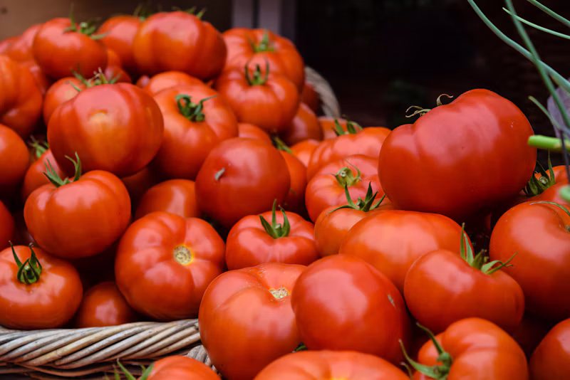 Molho de Tomate (340g)